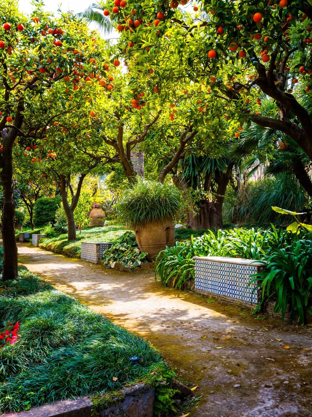 Citrus trees in the historic park of Excelsior Vittoria