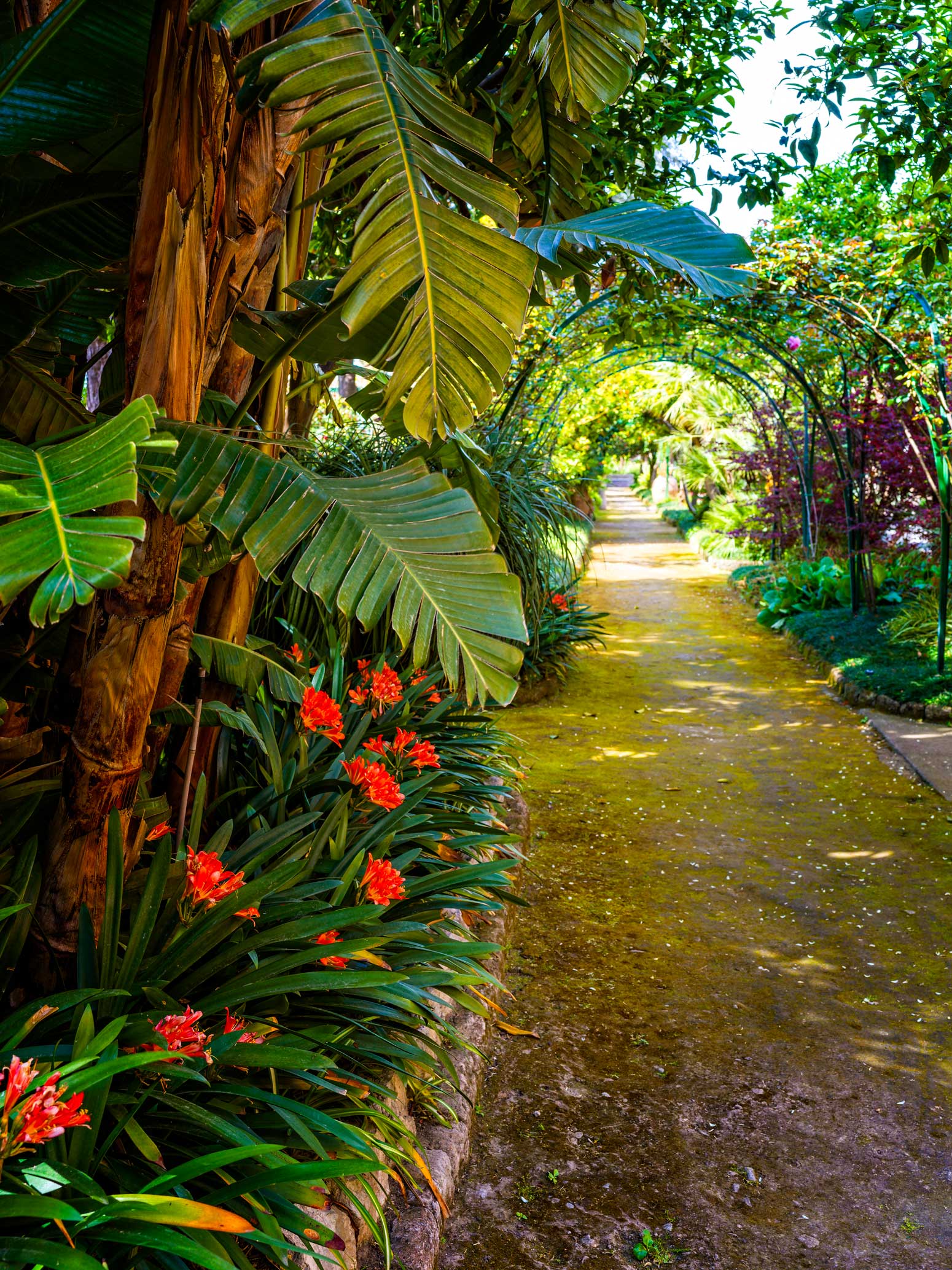 Seasonal blooms in the Mediterranean garden of the hotel