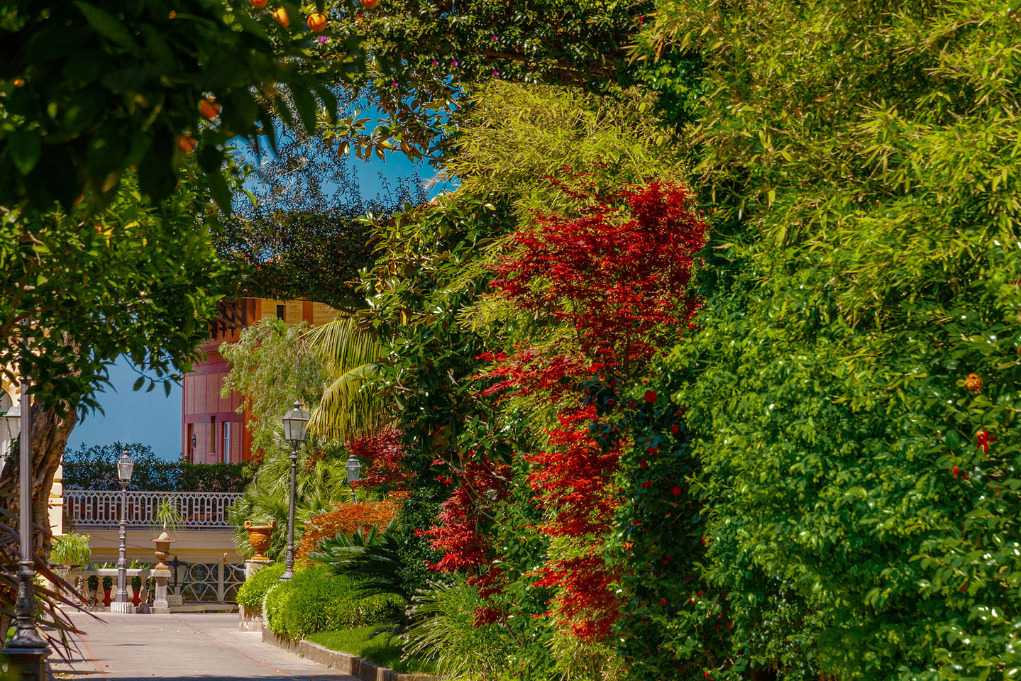 Care of the historic park at Grand Hotel Excelsior Vittoria