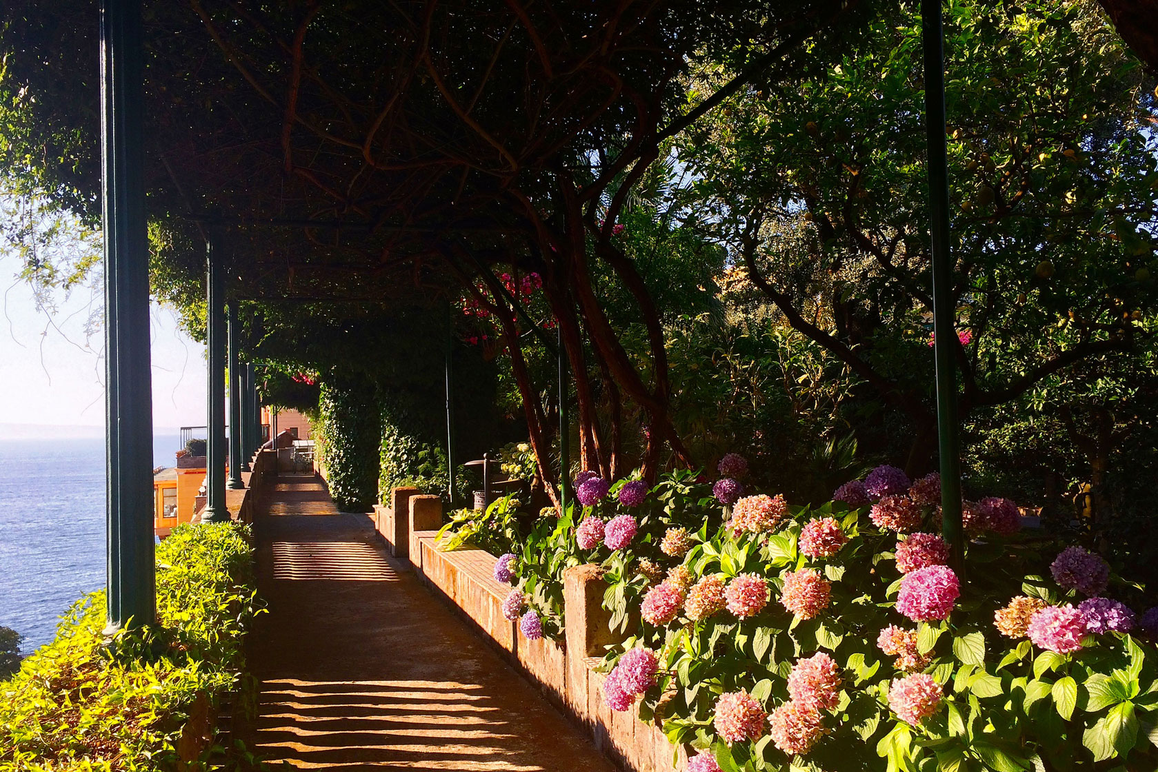Avenue in the historic park of Grand Hotel Excelsior Vittoria