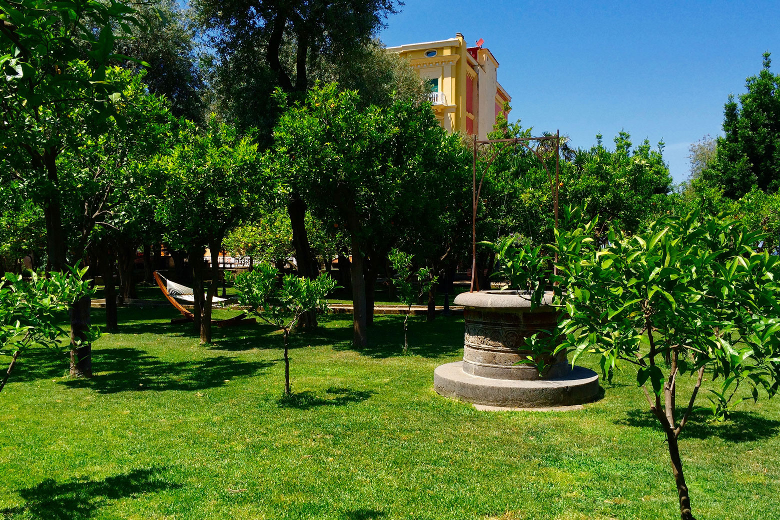 Olive trees and Mediterranean vegetation in the hotel park