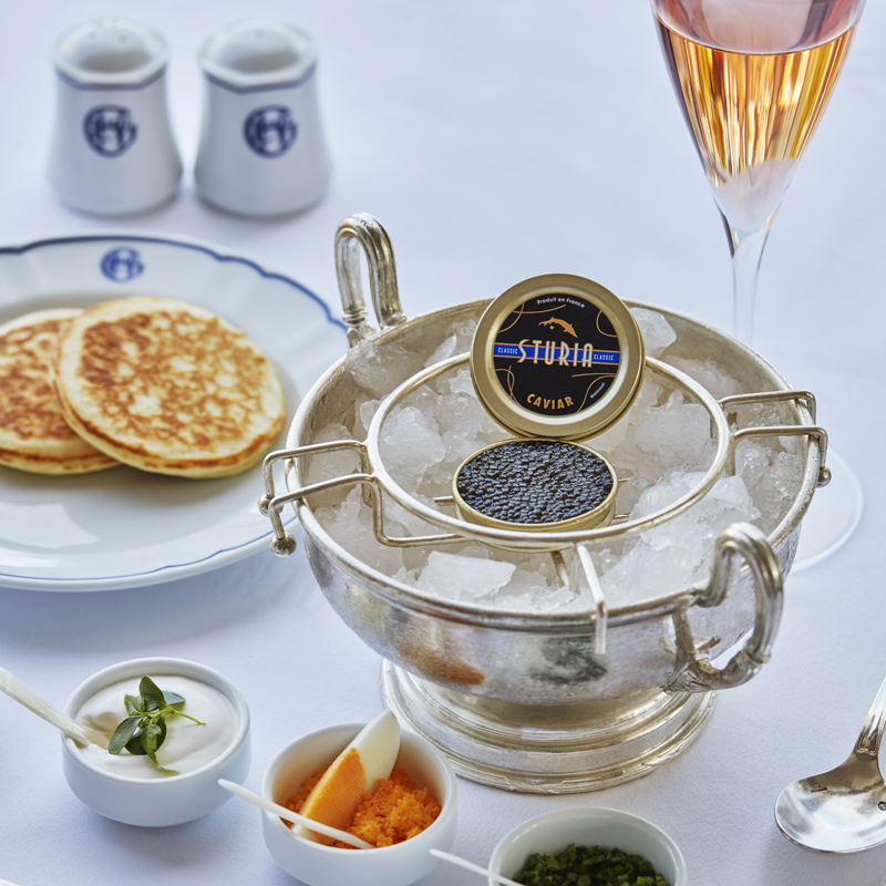 Grand Hotel Excelsior Vittoria Sorrento 5 Star Luxury Hotel 5 Stelle Lusso